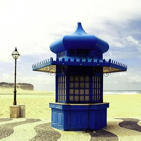 Casa Do Cavalo Marinho / Seahorse Nadadouro