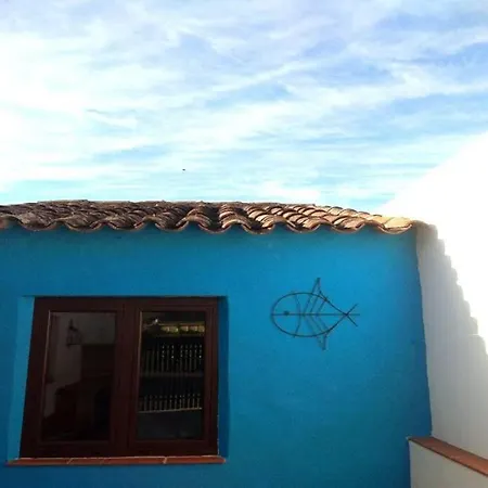 Casa Do Cavalo Marinho / Seahorse *
