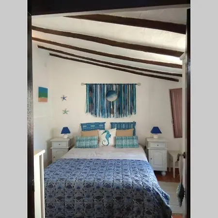 Casa Do Cavalo Marinho / Seahorse